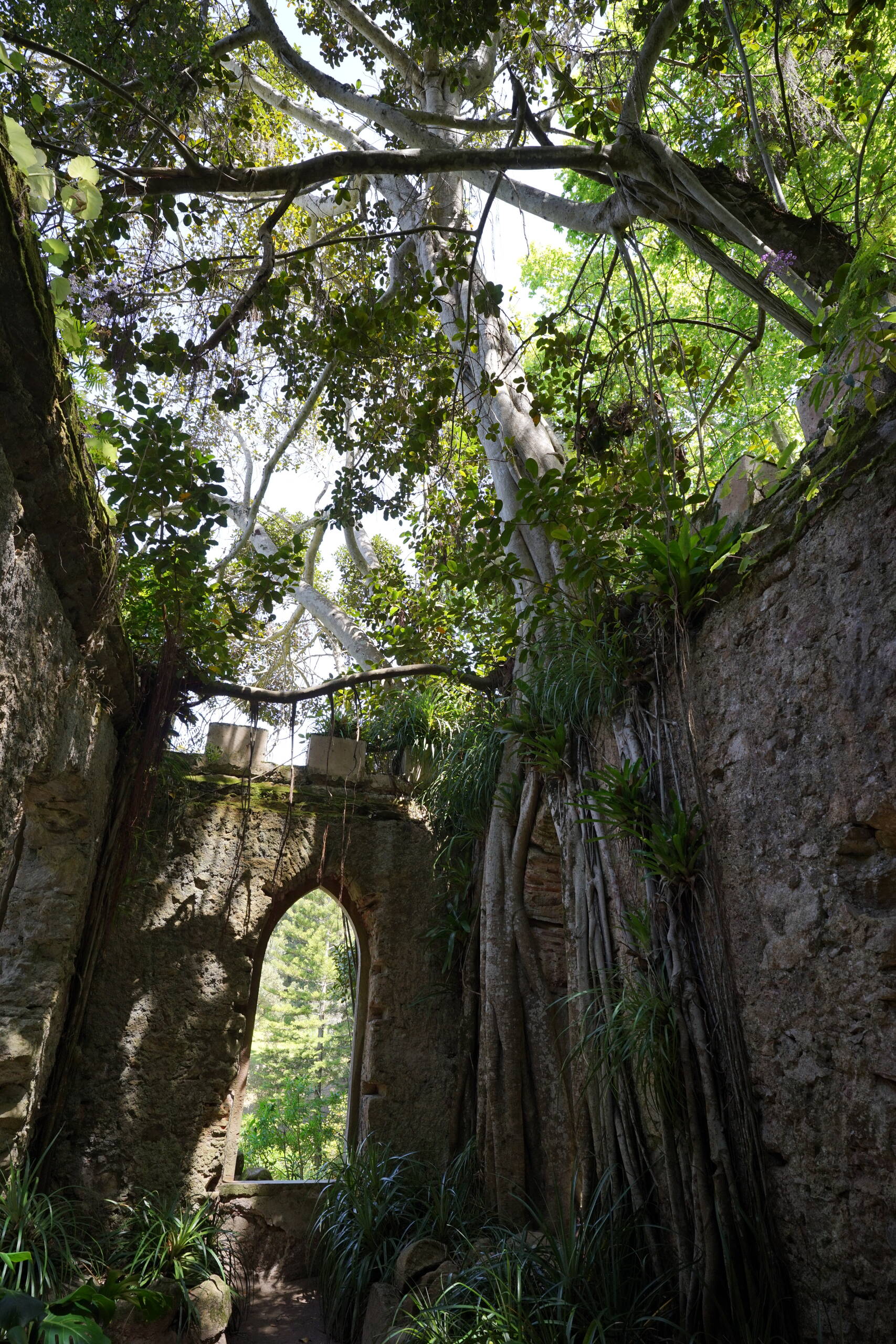 An image of overgrown ruins.